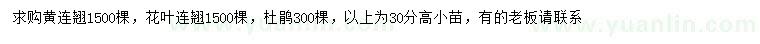 求购黄连翘、花叶连翘、杜鹃