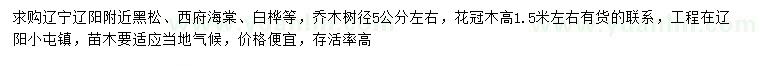 求购黑松、西府海棠、白桦等