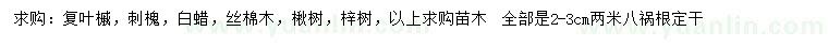 求购复叶槭、刺槐、白蜡等