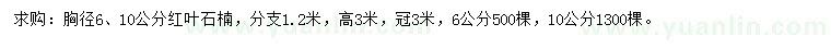 求购胸径6、10公分红叶石楠