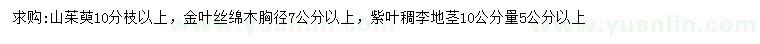 求购山茱萸、金叶丝棉木、紫叶稠李