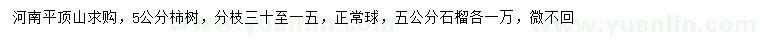 求购5公分柿树、石榴