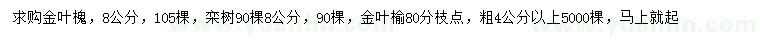 求购金叶槐、栾树、金叶榆