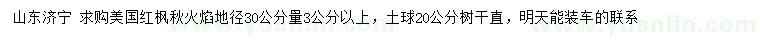 求购地径30公分量3公分以上美国红枫秋火焰