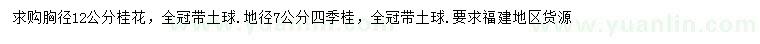 求购胸径12公分桂花、地径7公分四季桂