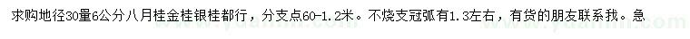 求购地径30量6公分八月桂