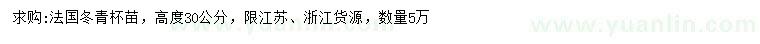 求购高30公分法国冬青