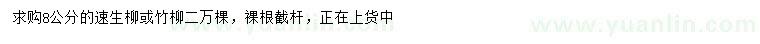 求购8公分速生柳、竹柳