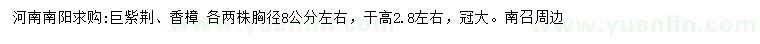 求购胸径8公分左右巨紫荆、香樟