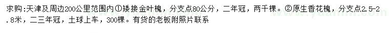 求购矮接金叶槐、香花槐