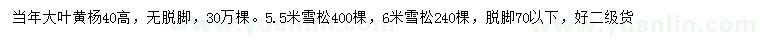 求购高40公分大叶黄杨、5.5、6公分雪松