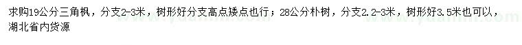 求购19公分三角枫、28公分朴树