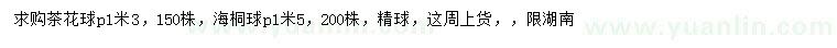求购冠幅1.3米茶花球、1.5米海桐球
