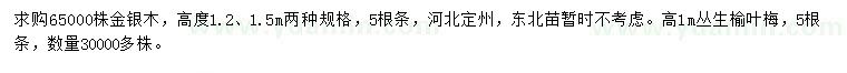 求购高1.2、1.5米金银木、1米丛生榆叶梅