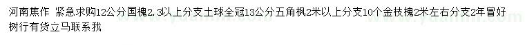 求购国槐、五角枫、金枝槐