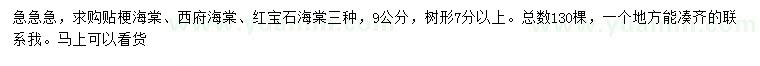 求购贴梗海棠、西府海棠、红宝石海棠