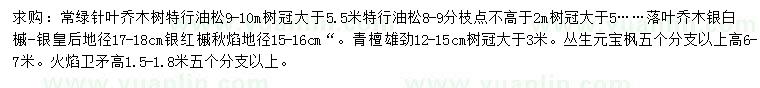 求购油松、银白槭、银红槭等