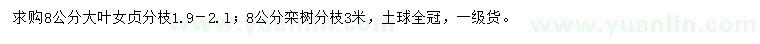 求购8公分大叶女贞、栾树