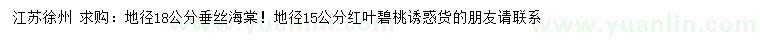 求购地径18公分垂丝海棠、15公分红叶碧桃