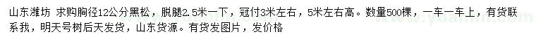 求购胸径12公分黑松