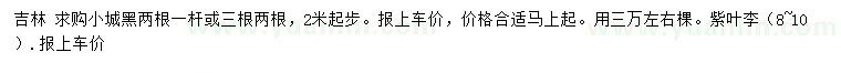 求购2米起步小城黑、8-10公分紫叶李