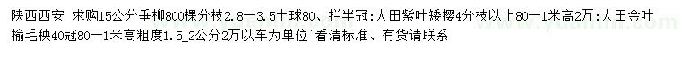 求购垂柳、紫叶矮樱、金叶榆