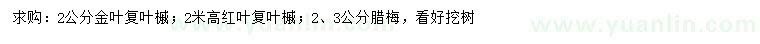 求购金叶复叶槭、红叶复叶槭、腊梅