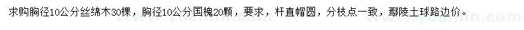 求购胸径10公分丝绵木、国槐