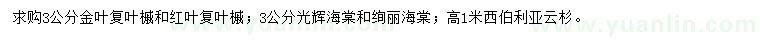 求购金叶复叶槭、红叶复叶槭、光辉海棠等