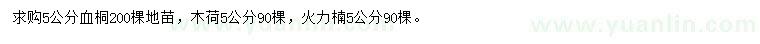 求购血桐、木荷、火力楠