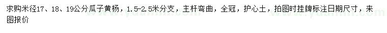 求购米径17、18、19公分瓜子黄杨