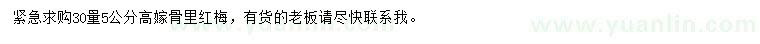 求购30量5公分高嫁骨里红梅