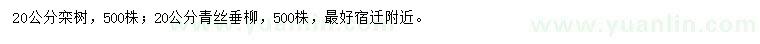 求购20公分栾树、青丝垂柳