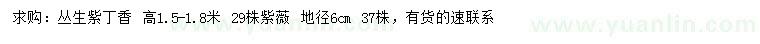 求购高1.5-1.8米丛生紫丁香、地径6公分紫薇