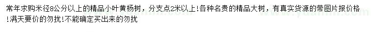 求购米径8公分以上精品小叶黄杨树