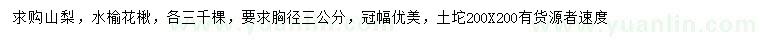 求购胸径3公分山梨、水榆花楸