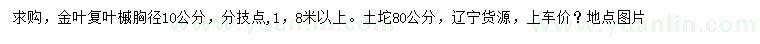 求购胸径10公分金叶复叶槭