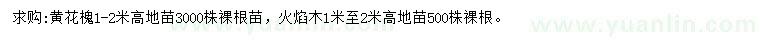 求购高1-2米黄花槐、火焰木