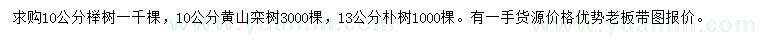 求购榉树、黄山栾、朴树