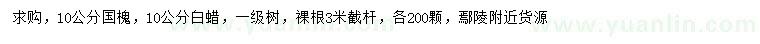 求购10公分国槐、白蜡