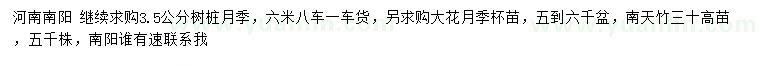 求购树桩月季、大花月季、南天竹