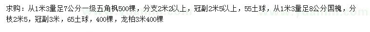 求购五角枫、国槐、龙柏