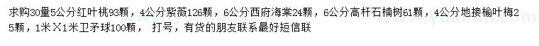 求购红叶桃、紫薇、西府海棠等