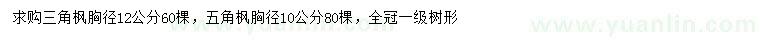 求购胸径12公分三角枫、10公分五角枫