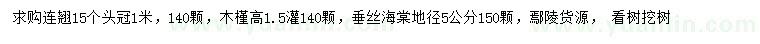 求购连翘、木槿、垂丝海棠