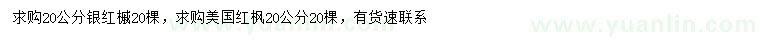 求购20公分银红槭、美国红枫