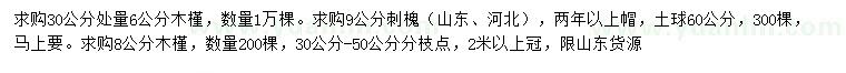 求购30量6、8公分木槿、9公分刺槐