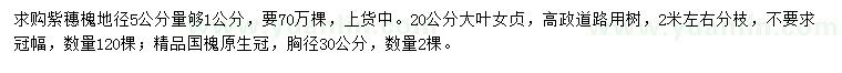 求购紫穗槐、大叶女贞、国槐