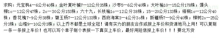 求购元宝枫、金叶复叶械、沙枣等