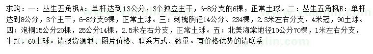 求购丛生五角枫、刺槐、泡桐等